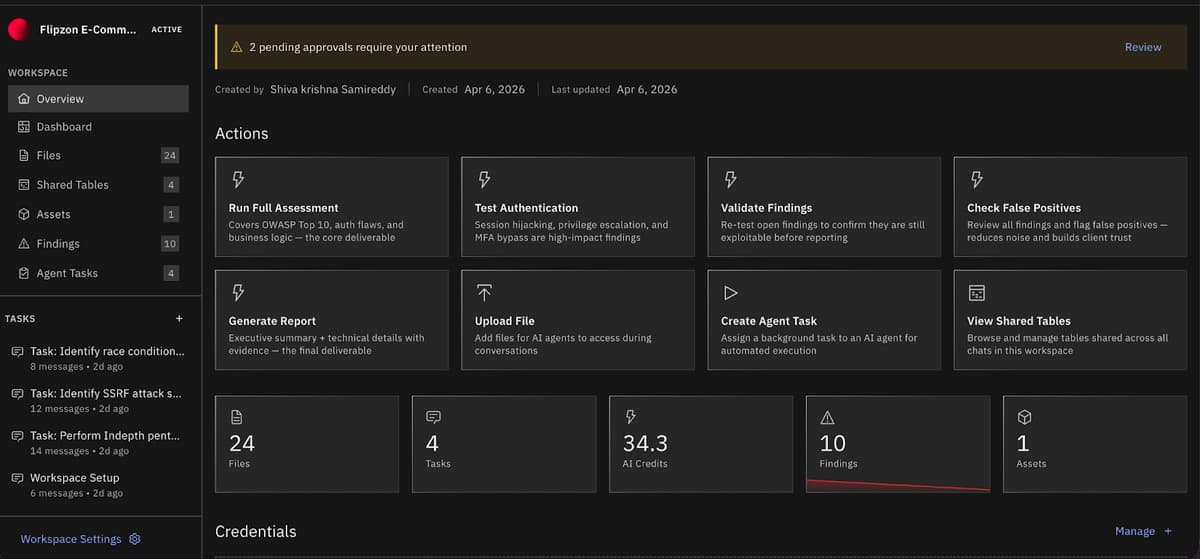 Strobes AI Pentesting workspace dashboard showing Run Full Assessment, Test Authentication, Validate Findings and Check False Positives actions