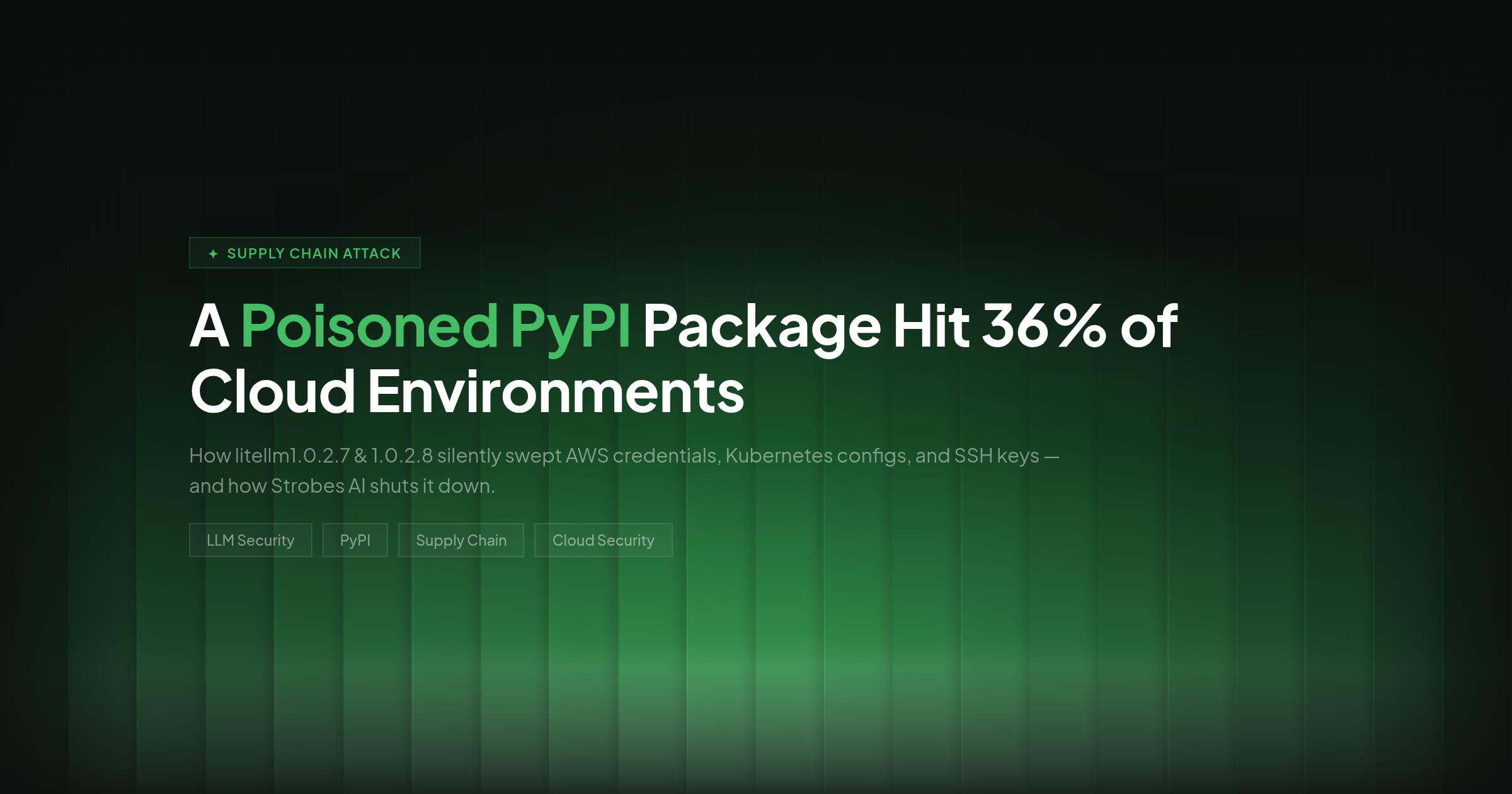 A Poisoned PyPI Package Hit 36 Percent of Cloud Environments