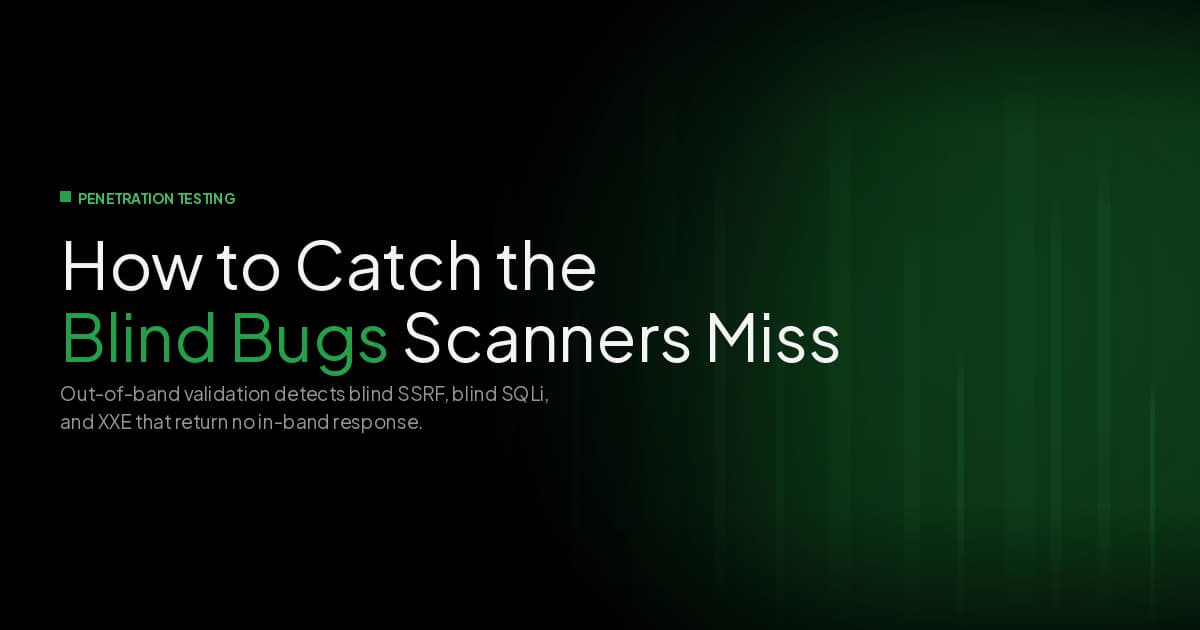 How to Catch Blind Bugs Scanners Miss